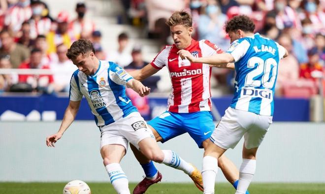 新的看点 新的看点