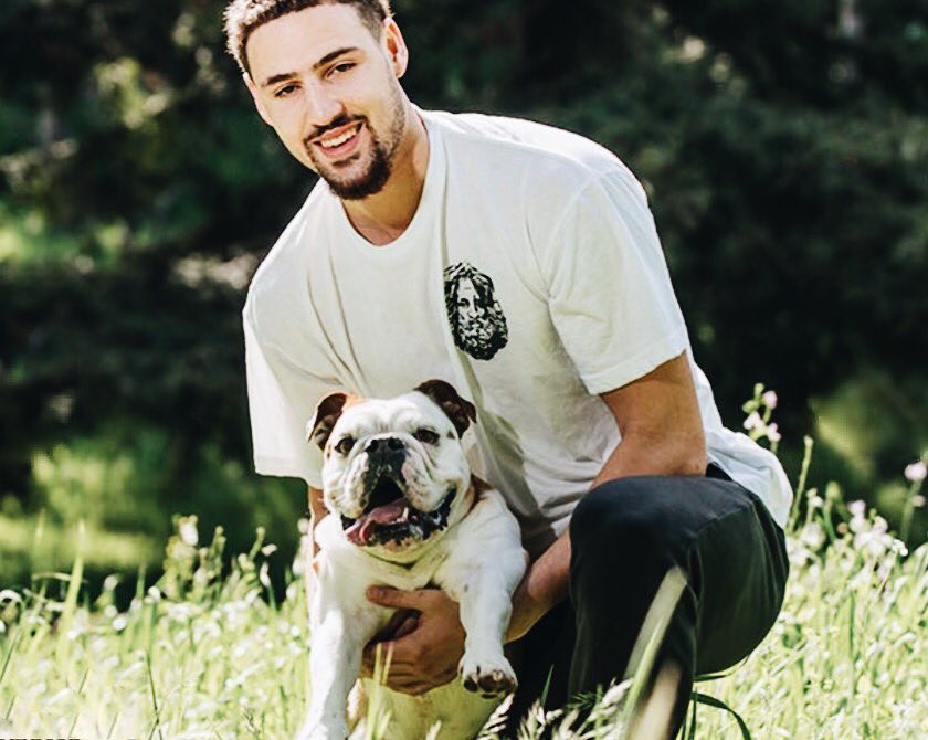 海牛则更多 海牛则更多